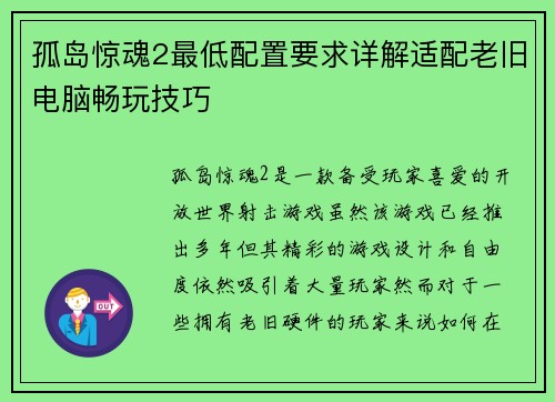 孤岛惊魂2最低配置要求详解适配老旧电脑畅玩技巧