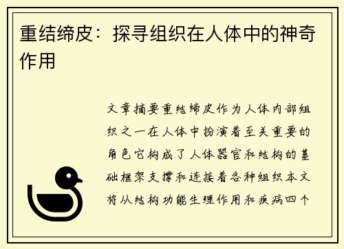 重结缔皮：探寻组织在人体中的神奇作用